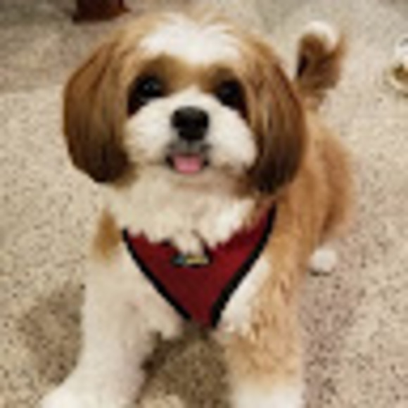 Meet your Posher, Robert - Picture 1 of 1